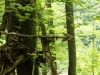 WaldMenschen, 2014, thomas rees 05