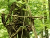 WaldMenschen, 2014, thomas rees 31