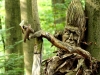 waldmenschen-2013-thomas-rees-637