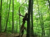waldmenschen-thomas-rees-403