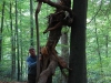 waldmenschen-thomas-rees-404