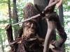 waldmenschen-thomas-rees-418