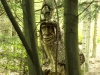 WaldMenschen, 2014, thomas rees 33