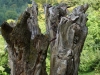 skulpturenpfad-waldmenschen-freiburg-thomas-rees-19
