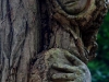 skulpturenpfad-waldmenschenwaldgesichter-thomas-rees-02