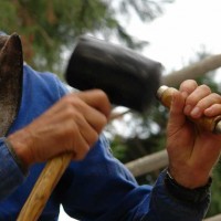 schaffen thomas rees, Freiburg, Arbeit