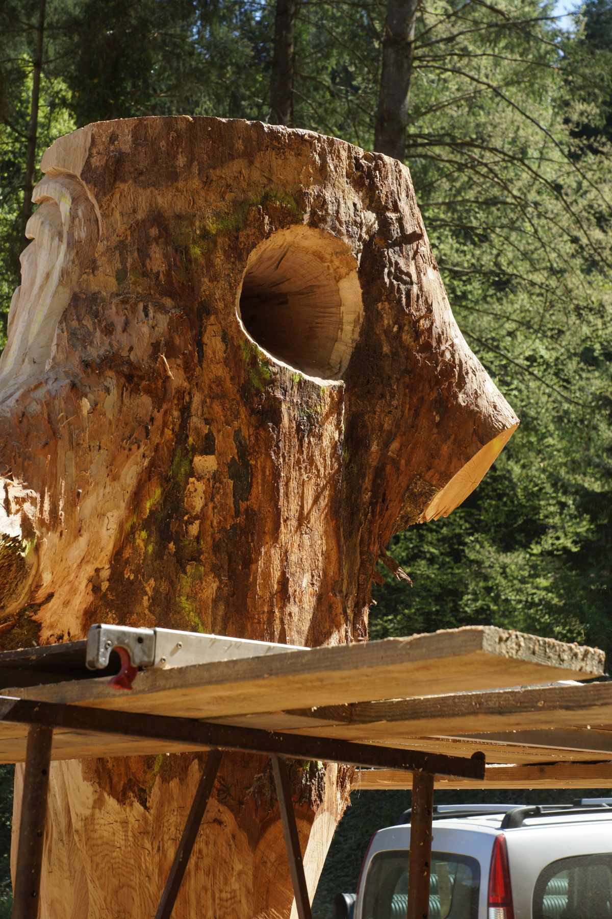 Anima  Mundi, die Entstehung 007
