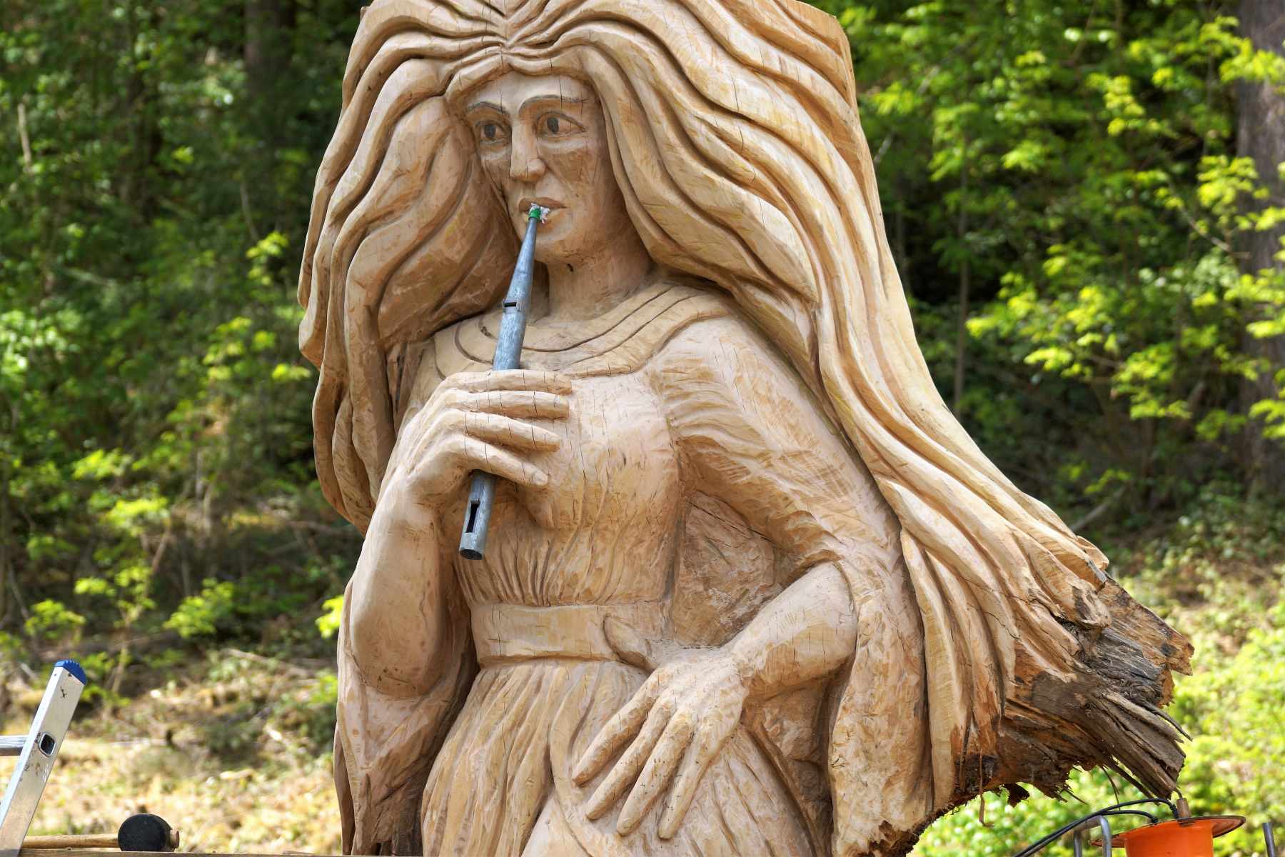 Anima  Mundi, die Entstehung 012