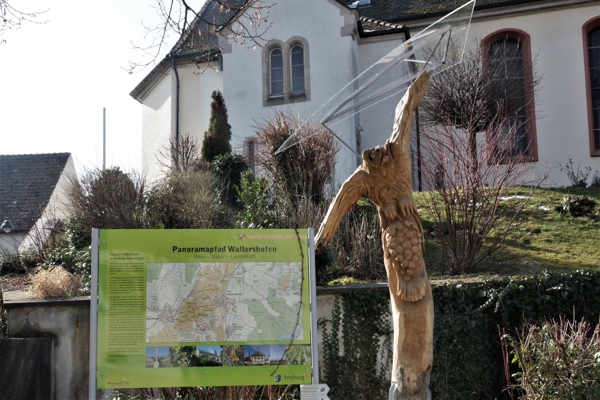 schräger Vogel, Bacchus vom Tuniberg, Wein Weib und Wiedehopf002