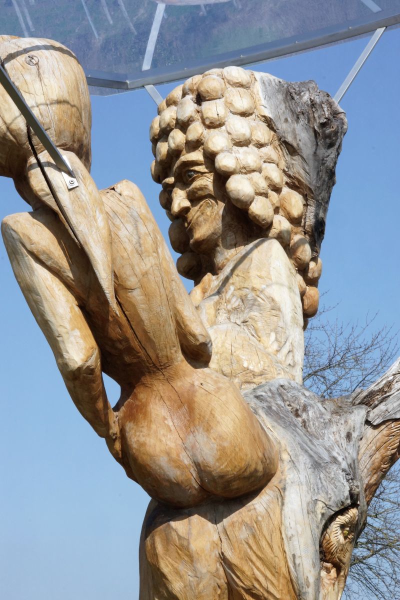 Bacchus vom Tuniberg, Wein Weib und Wiedehopf012