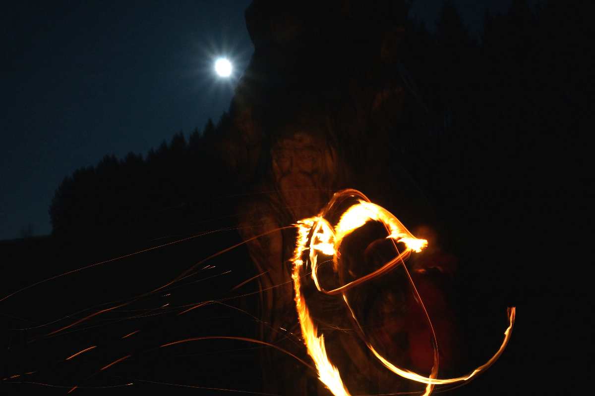Baum der Erkenntnis, März 2014, thomas rees 04
