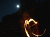 Baum der Erkenntnis, März 2014, thomas rees 04