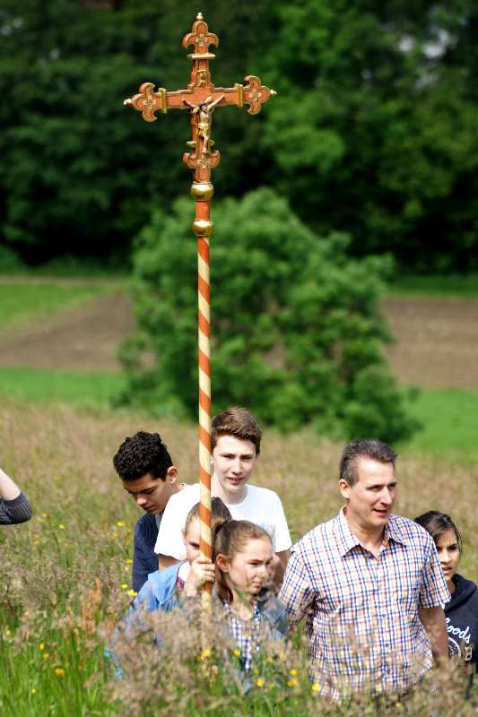 Baum der Erkenntnis, Mai 2014, Christi Himmelfahrt,  thomas rees 10