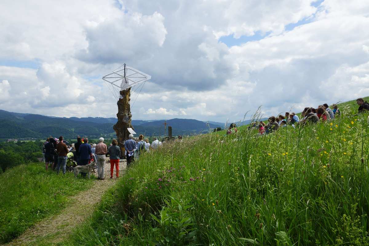 Baum der Erkenntnis, Mai 2014, Christi Himmelfahrt,  thomas rees 14