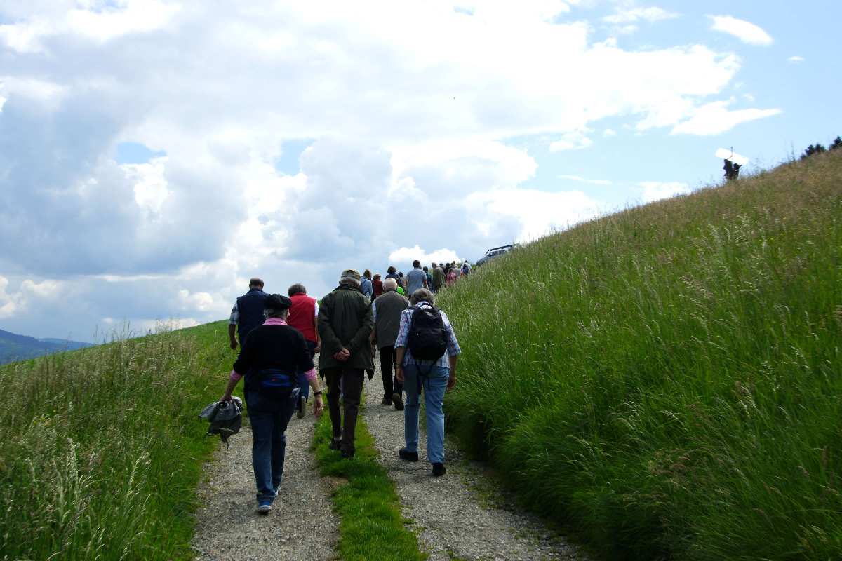 Baum der Erkenntnis, Mai 2014, Christi Himmelfahrt,  thomas rees 2