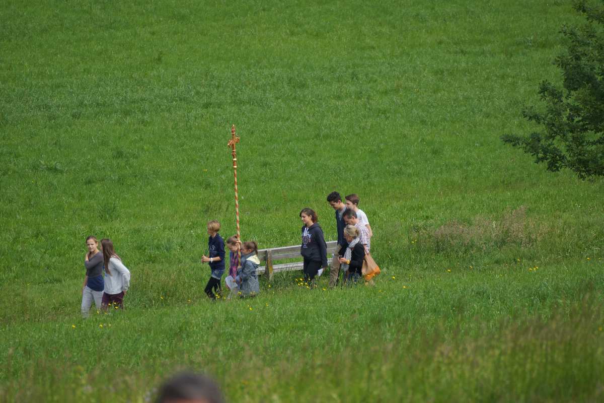 Baum der Erkenntnis, Mai 2014, Christi Himmelfahrt,  thomas rees 5