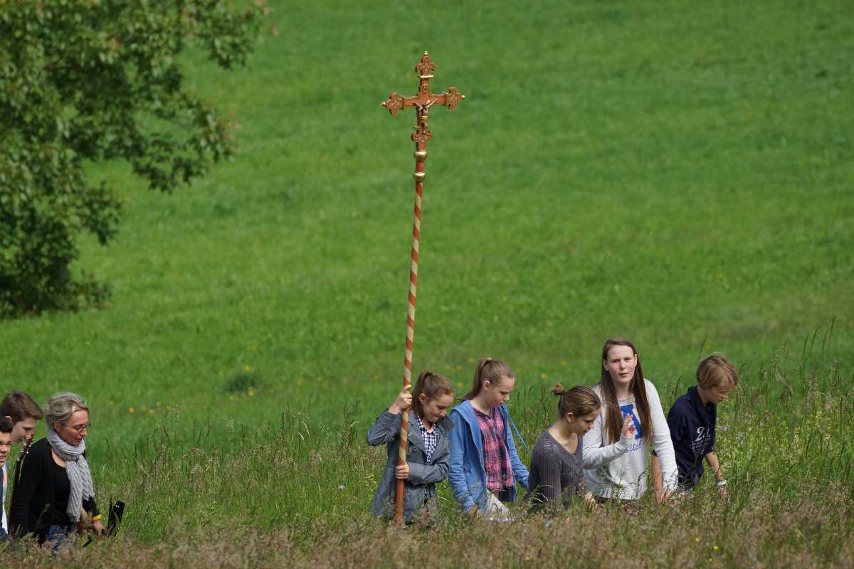 Baum der Erkenntnis, Mai 2014, Christi Himmelfahrt,  thomas rees 7