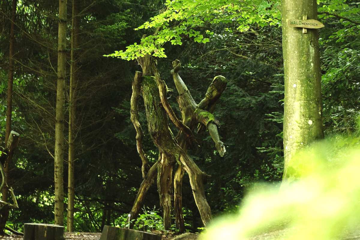 WaldMenschen, 2014, thomas rees 11