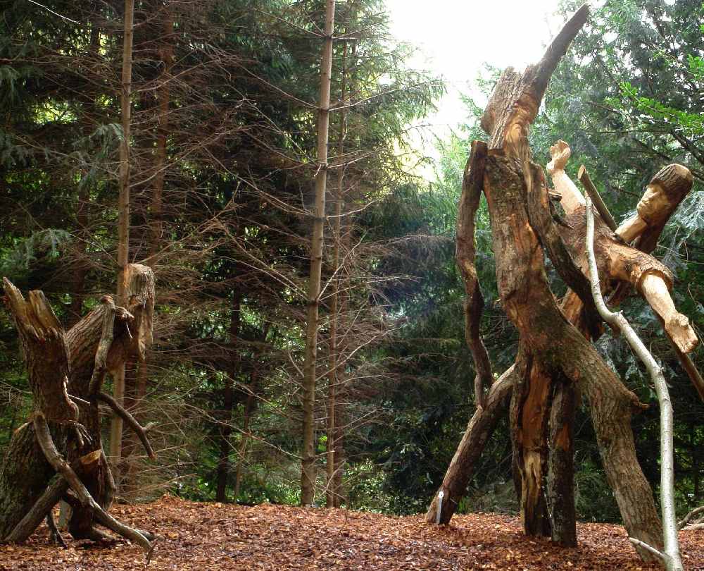 baumtanz258