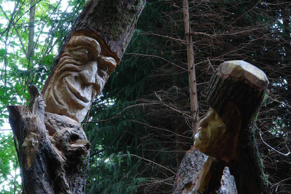 baumtanz265