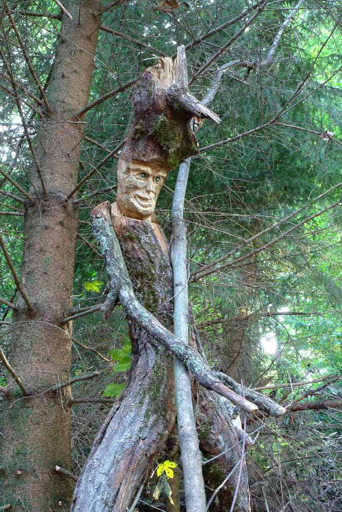 baumtanz266