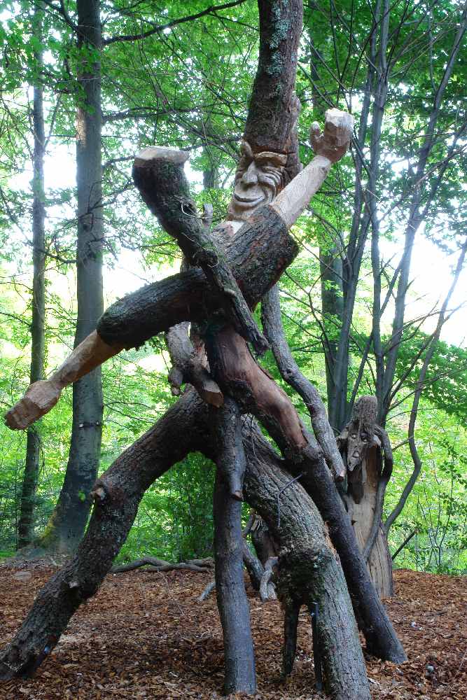baumtanz267