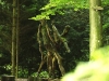 WaldMenschen, 2014, thomas rees 11