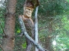 baumtanz266