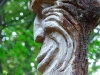 baumtanz270
