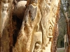 die-baumwelt-skulpturenpfad-waldmenschen-waldhaus-freiburg-thomas-rees292