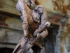corippo-skulpturen-aus-dem-tal-de-gruenen-wassers-243