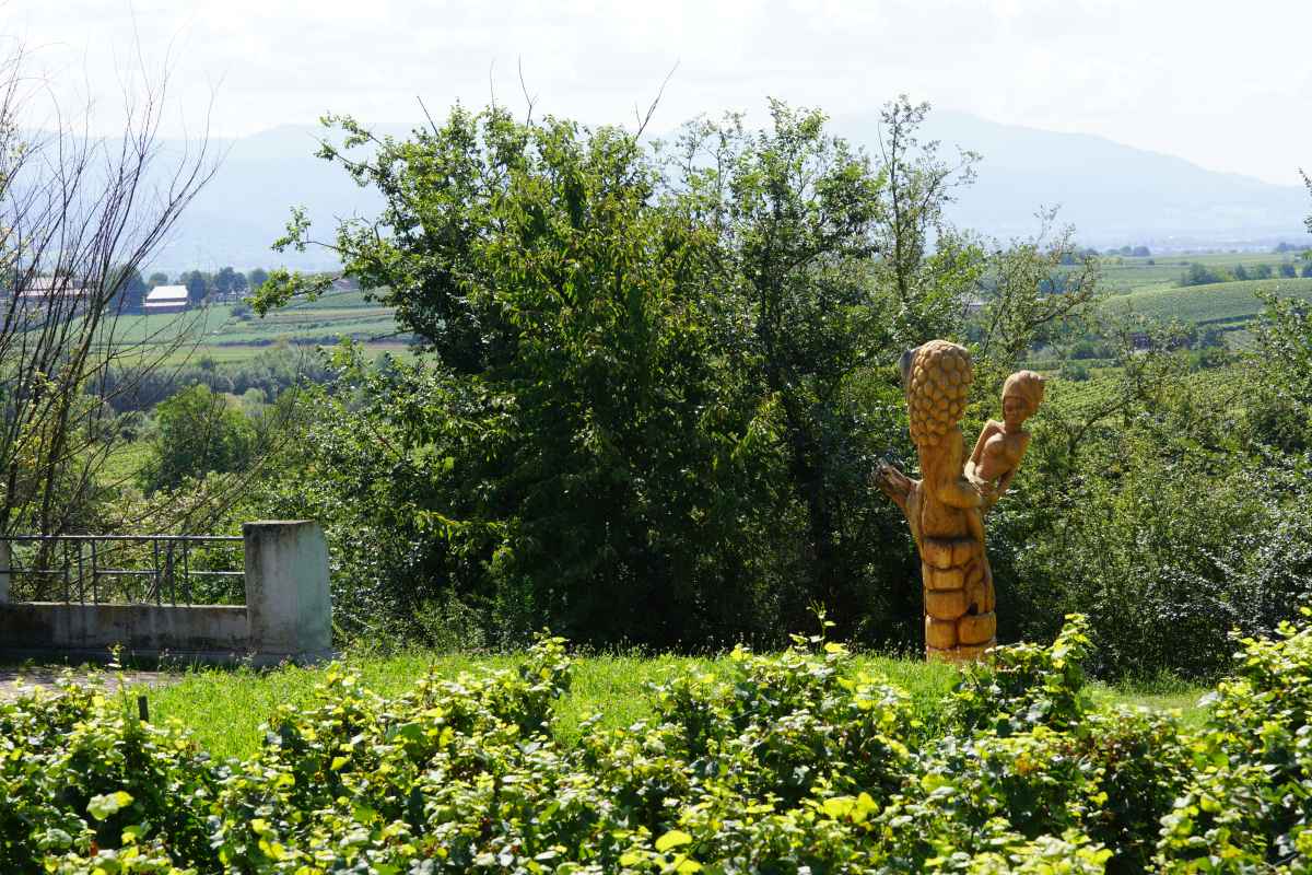 der Bacchus vom Tuniberg, vom Weib, Wein und Wiedehopf,  thomas rees 03