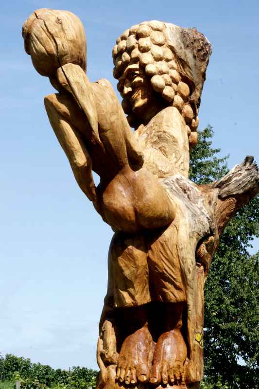 der Bacchus vom Tuniberg, vom Weib, Wein und Wiedehopf,  thomas rees 16