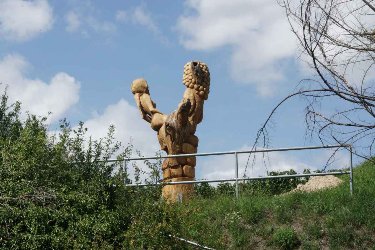 der Bacchus vom Tuniberg, vom Weib, Wein und Wiedehopf,  thomas rees 17
