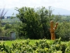 der Bacchus vom Tuniberg, vom Weib, Wein und Wiedehopf,  thomas rees 03