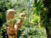 der Bacchus vom Tuniberg, vom Weib, Wein und Wiedehopf,  thomas rees 08