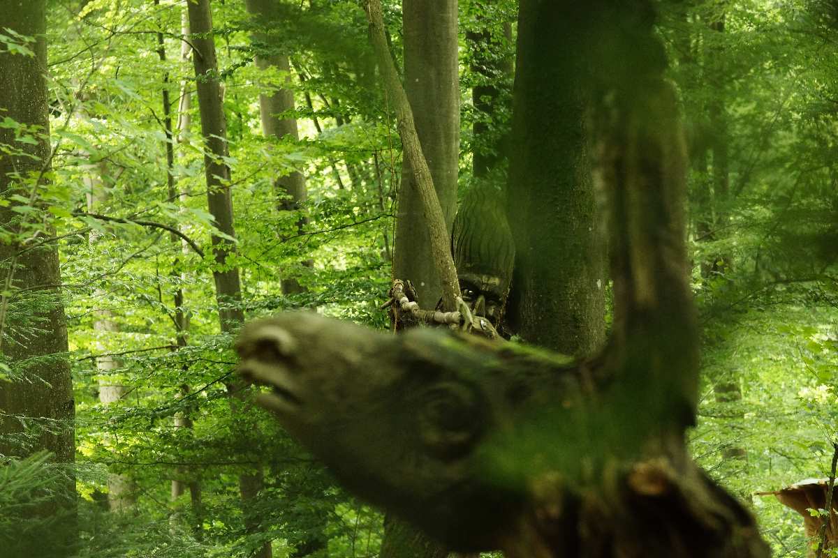 WaldMenschen, 2014, thomas rees 04