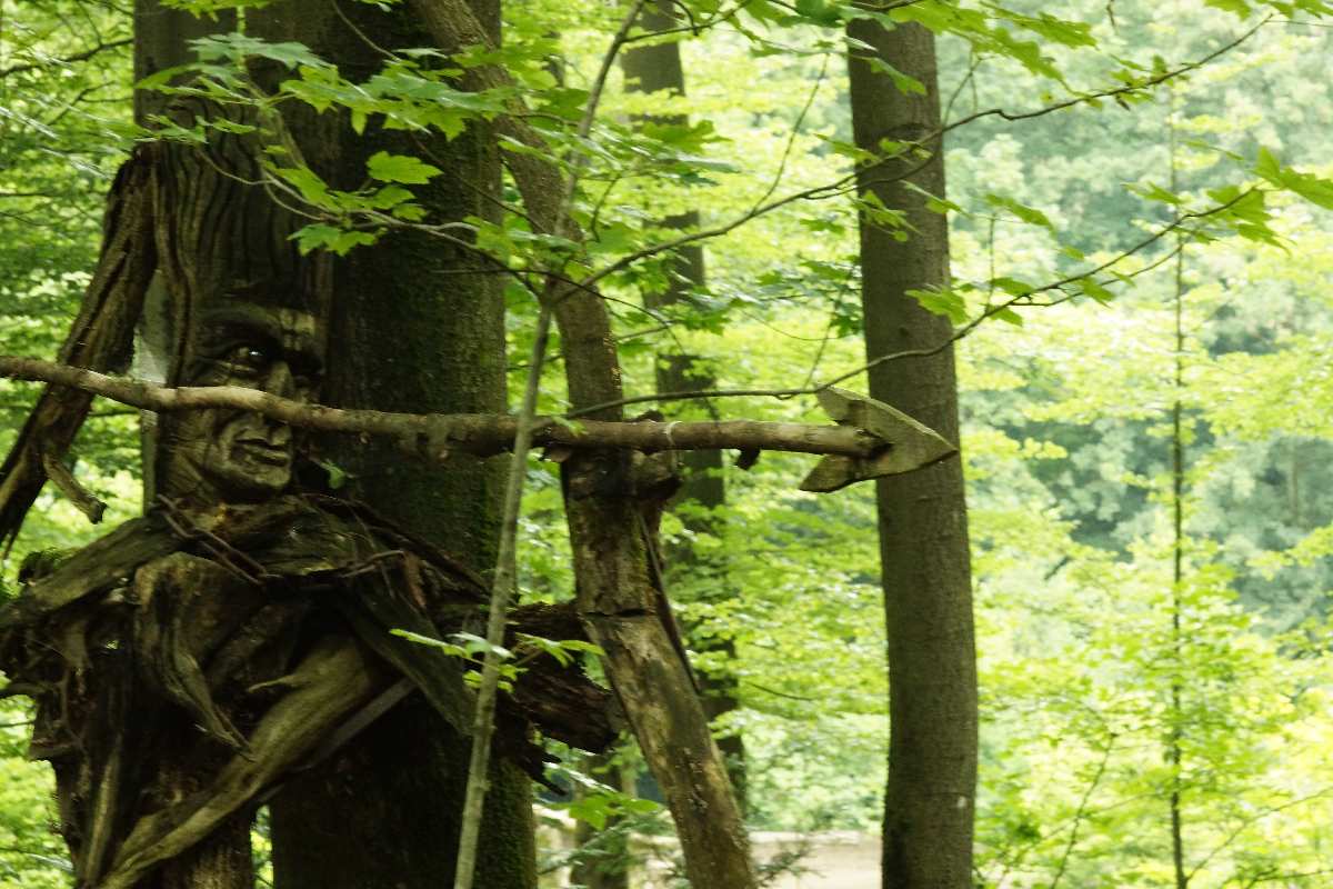 WaldMenschen, 2014, thomas rees 05
