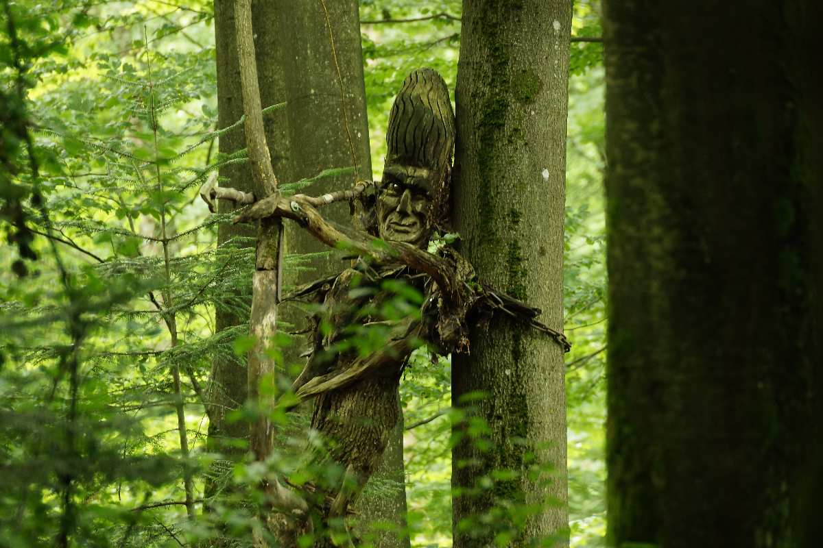 WaldMenschen, 2014, thomas rees 27