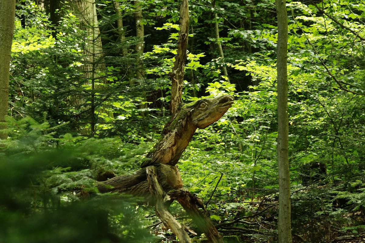 WaldMenschen, 2014, thomas rees 29