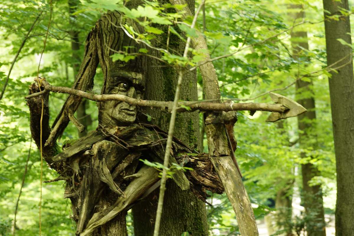 WaldMenschen, 2014, thomas rees 31