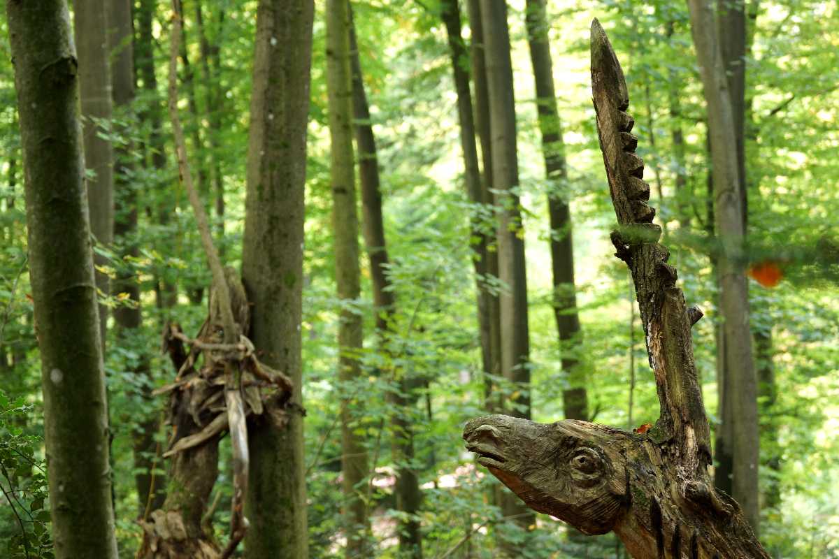 waldmenschen-2013-thomas-rees-636