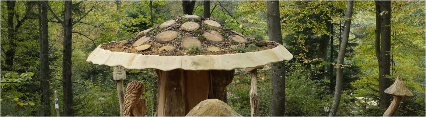 Dach Riesenpilz