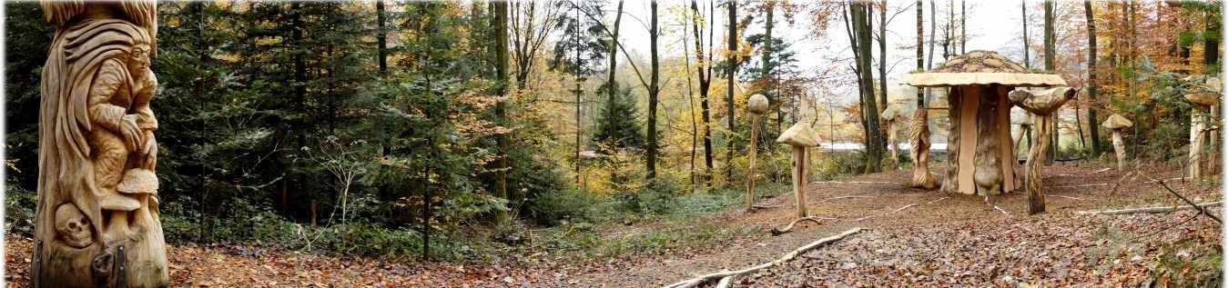 Hexenring, Riesenpilz 85