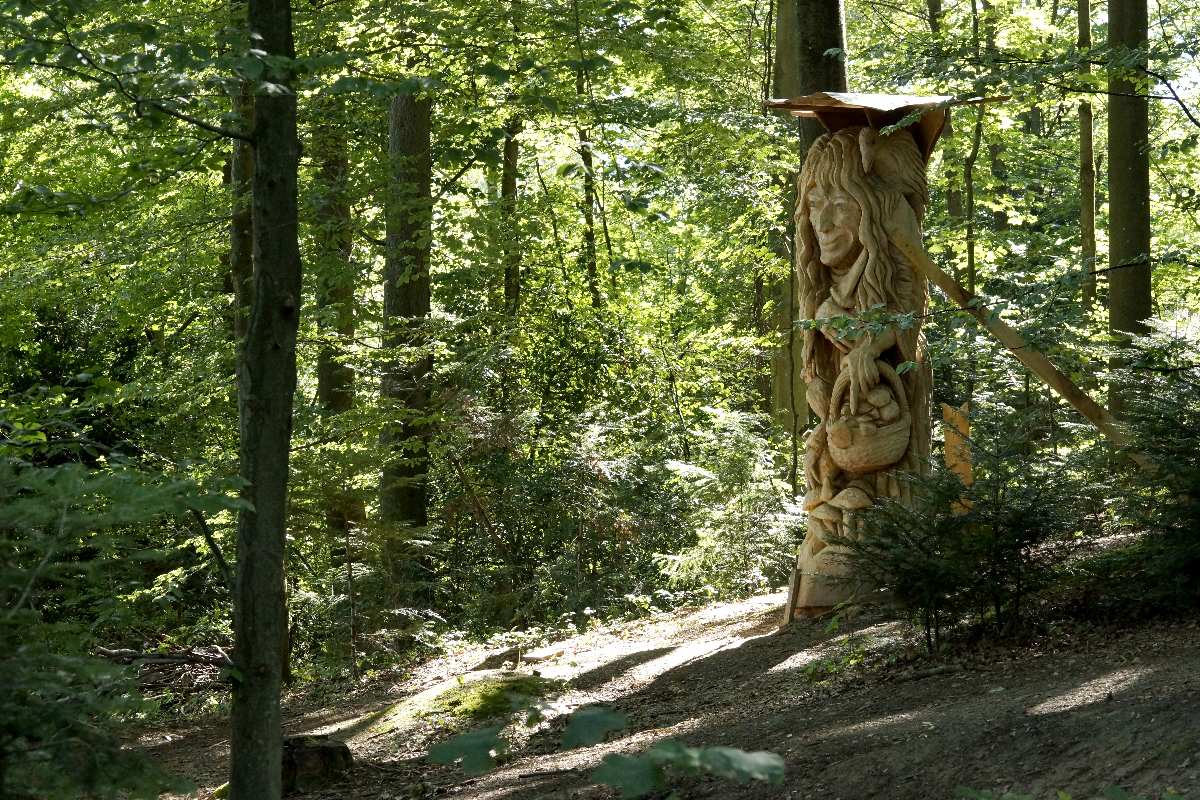 Hexenring , der Suchende, thomas rees 32
