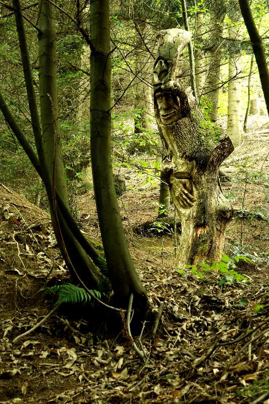 WaldMenschen, 2014, thomas rees 32