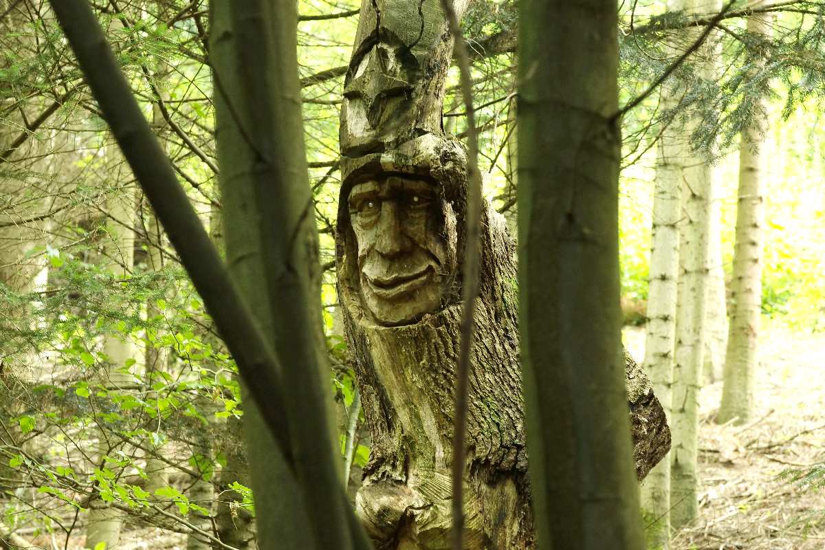 WaldMenschen, 2014, thomas rees 33