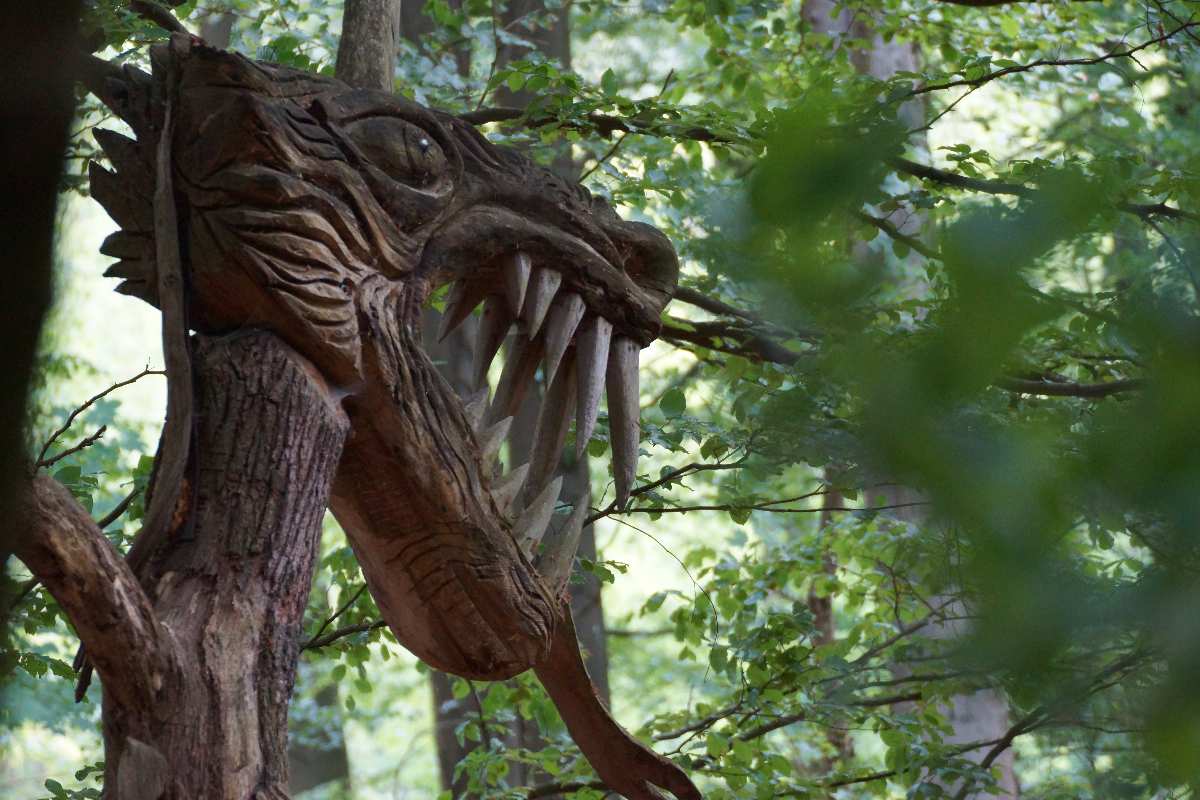 WaldMenschen 2014, der Drache, thomas rees 01
