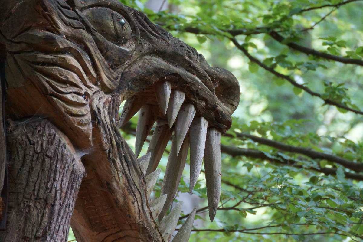 WaldMenschen 2014, der Drache, thomas rees 02