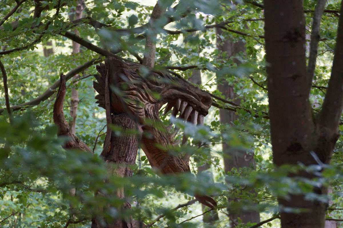 WaldMenschen 2014, der Drache, thomas rees 03